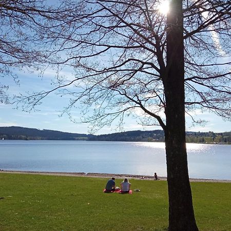 Apartman29 Lipno nad Vltavou Luaran gambar