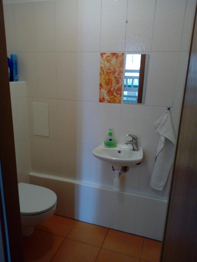 Apartman29 Lipno nad Vltavou Luaran gambar